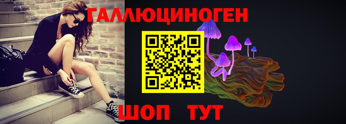Унеча  Галлюциногенные грибы ЛСД  Вход с VPN 